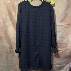 Elegant Navy Long Sleeve Dress